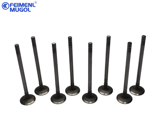 Guter Preis Das Eingangsventil passt zum Ford Transit V348, Puma2.4, OEM XS7Q-6507-A3C Online