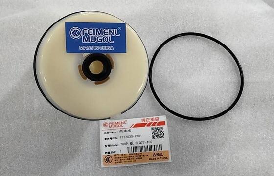 Qualität Qualitäts-Dieselkraftstofffilter 1117030-P301 für JMC 700P Fabrik